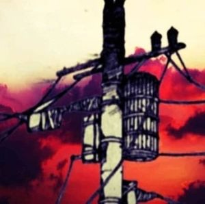 Meet your Posher, Nick